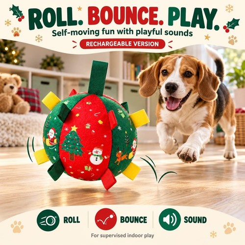 Jingle paw ball - ball,,