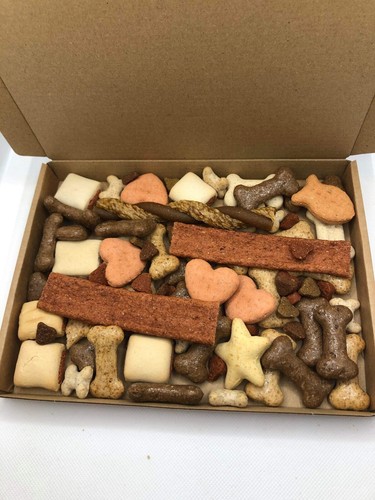 Puppy adult dog - adult, treat