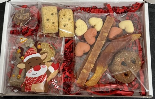 Dog hamper christmas treats - dog,