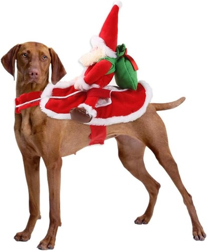 Funny dog santa riding - santa,