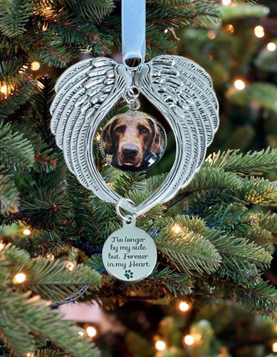Dog cat pet memorial - pet,