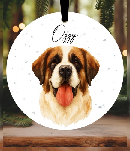 Bernard dog christmas - st,