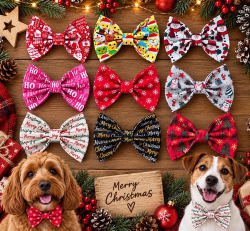 Christmas dog pet - christmas, dog/pet