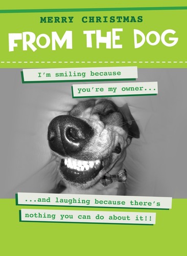 Merry christmas from - merry, dog