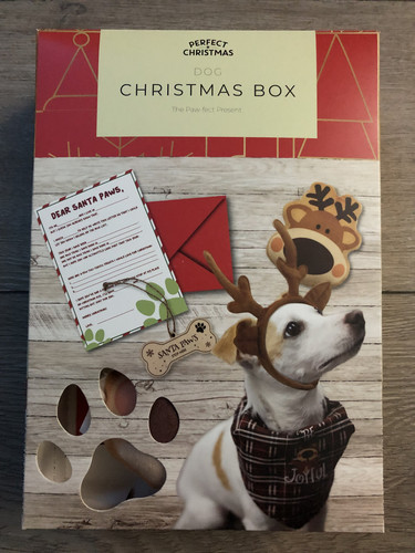Dog christmas box moose themed - christmas,