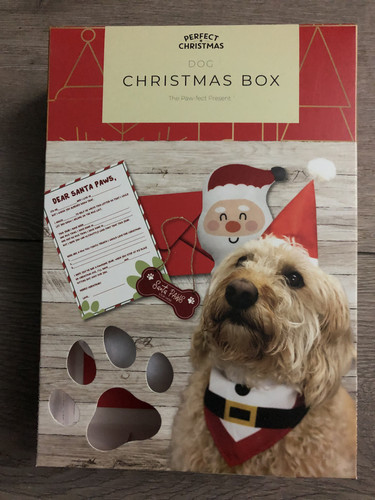 Dog christmas box - dog, themed