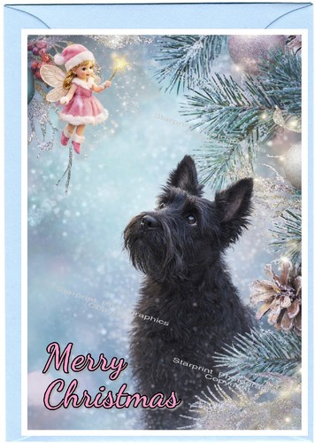 Scottish terrier scottie - /, dog
