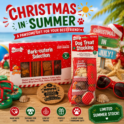 Christmas dog gift - christmas, set