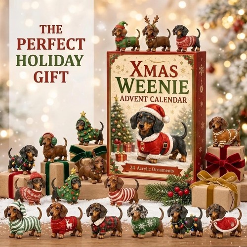 Dachshund dog christmas advent - dog,