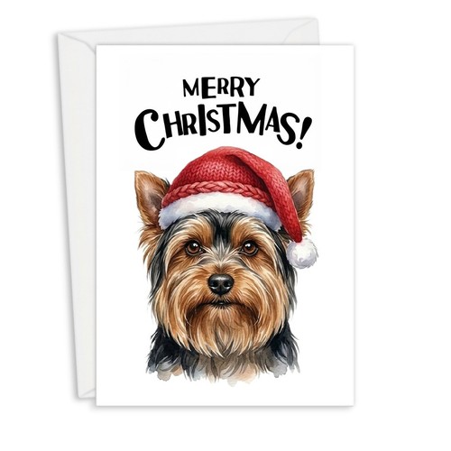 Yorkshire terrier black and - yorkshire,