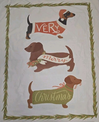 Dachshund sausage dog - dachshund,