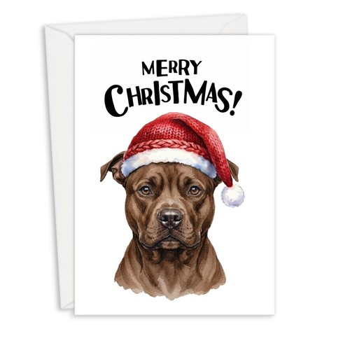 Staffordshire bull terrier - bull,