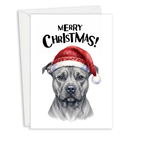Staffordshire bull terrier - bull,