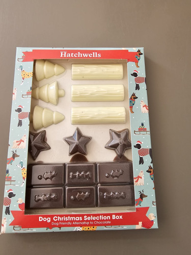 Christmas dog chocolate - christmas, chocolate-