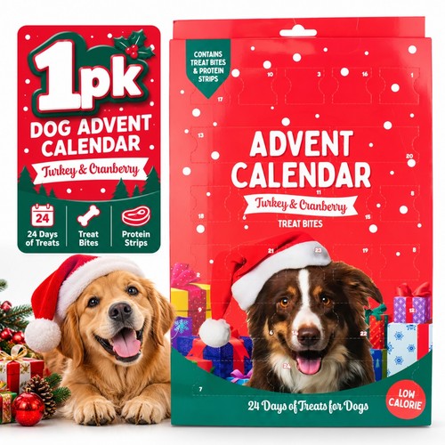 Dog advent calendar - advent, christmas
