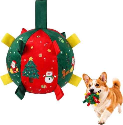 Jingle paw ball - paw,