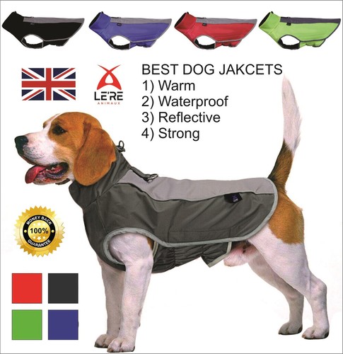 Dog coats jacket - dog, warm