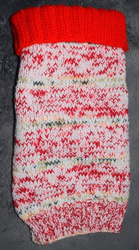 Hand knitted dog - hand, coat.