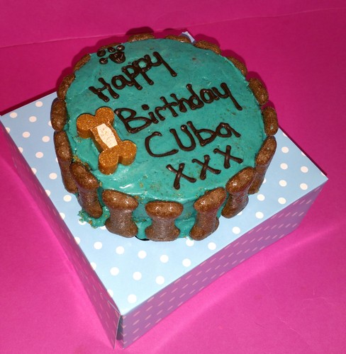 Dog birthday cake - birthday, blue