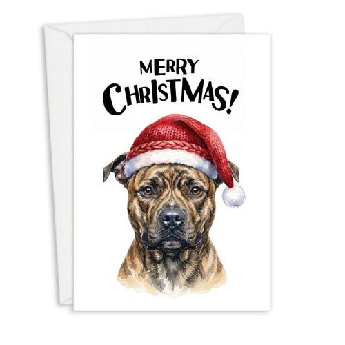 Staffordshire bull terrier - bull,