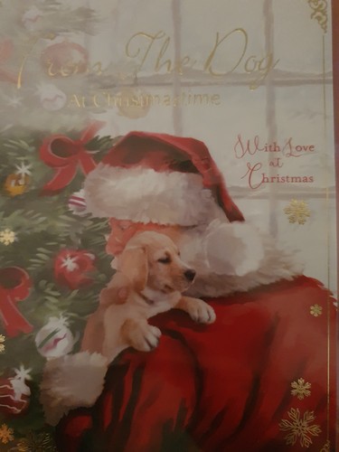 From the dog - from,