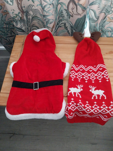 Dog christmas costume set - dog,