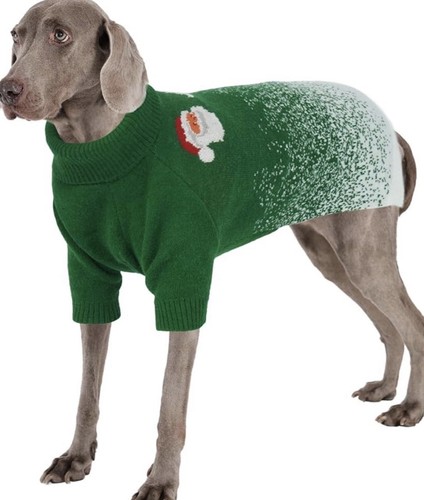 Dog christmas jumper - christmas,