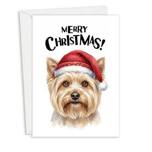 Yorkshire terrier beige - terrier,