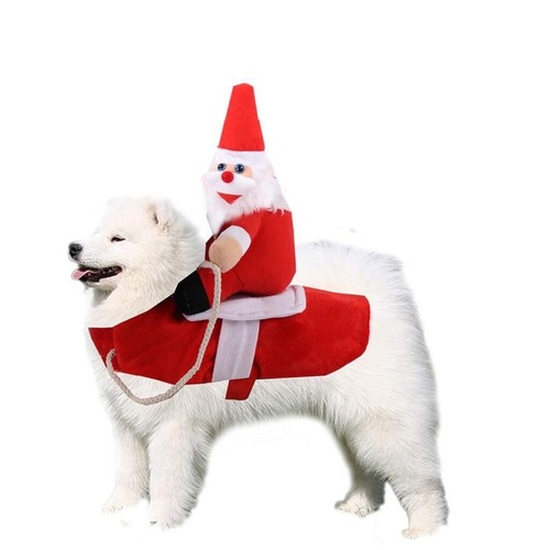 Pet dog cat puppy - cat, christmas