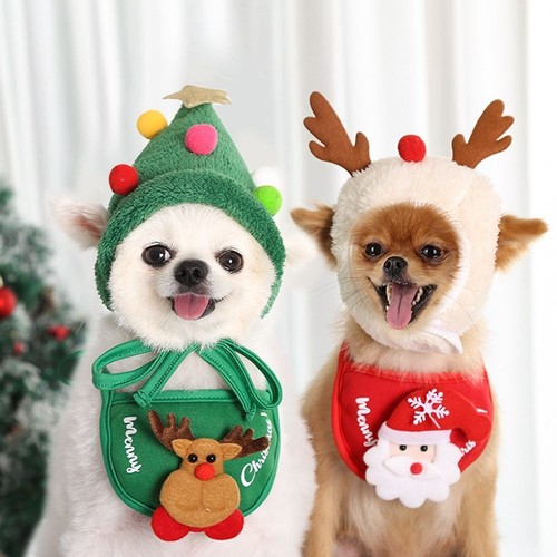 Christmas elf pet - pet, costume