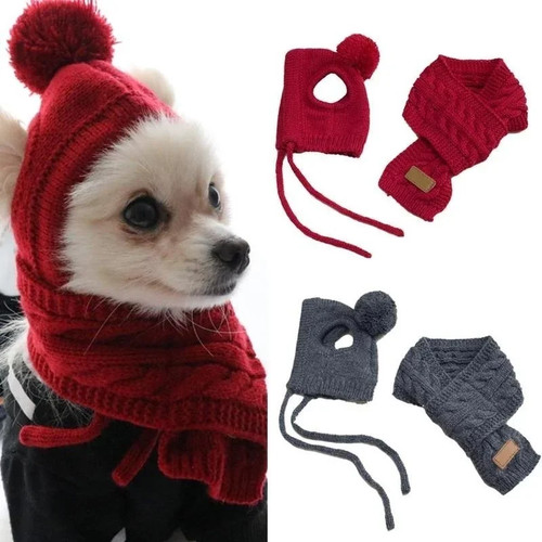 Dog hat scarf - scarf, set