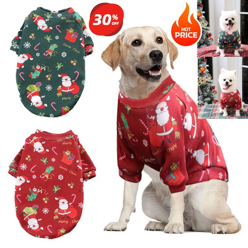 Christmas pet dog - dog, coat