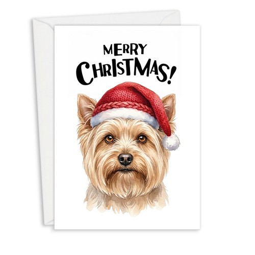 Yorkshire terrier fawn - terrier,