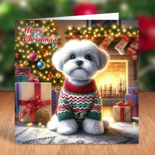 Maltese dog christmas - dog,