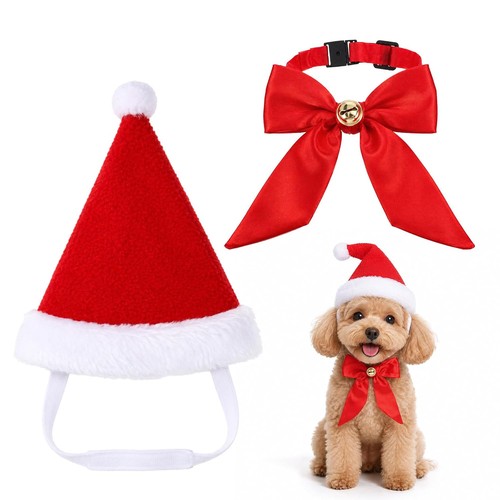 Christmas dog cat - christmas,