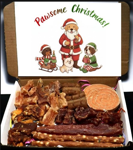 Dog gift treat - treat, christmas