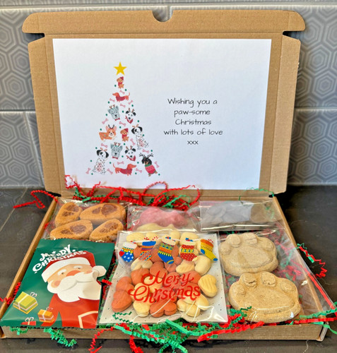 Dog christmas gift treat - dog,