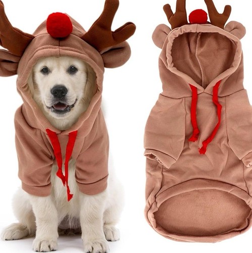 Dog christmas outfit - outfit, reindeer