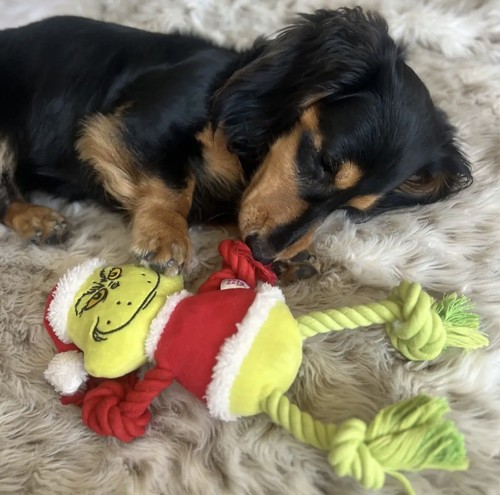 The grinch rope - the, dog