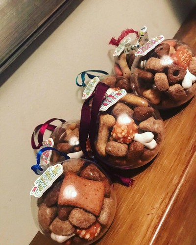 Set christmas dog - 4, treat