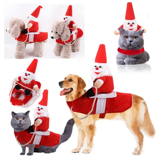 Christmas santa claus riding - claus,