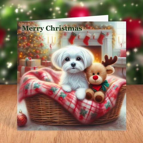 Maltese dog christmas card - christmas,