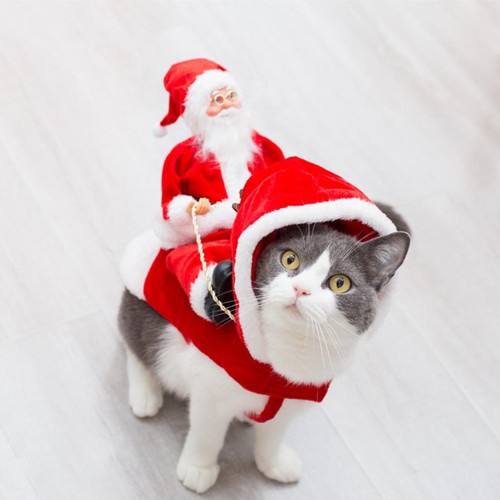 Fashion christmas clothes - christmas,
