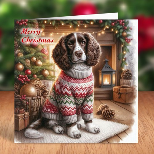 Springer spaniel dog - spaniel,