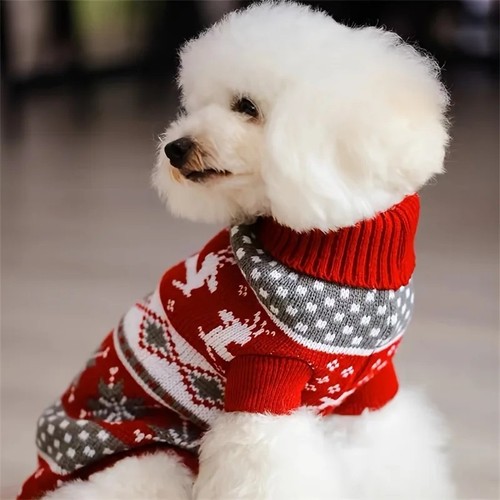 Christmas dog cat sweater - dog,